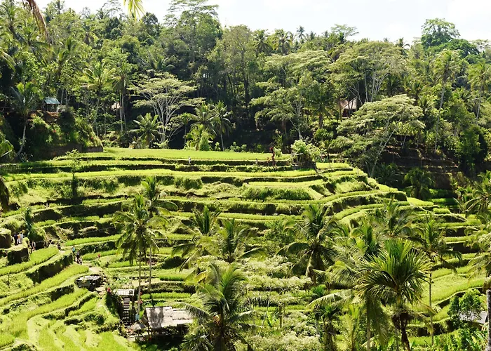 Kano Sari Ubud