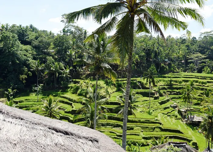 Kano Sari Ubud